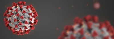 COVID19 Virus